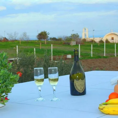 Ariana Eco Adults Only *