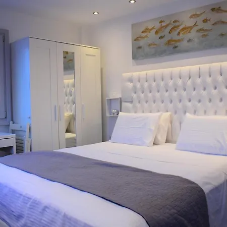 Ariana Eco Adults Only