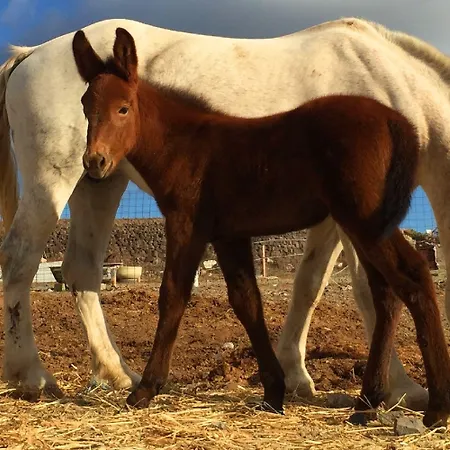 Ariana Eco Adults Only Hotel *