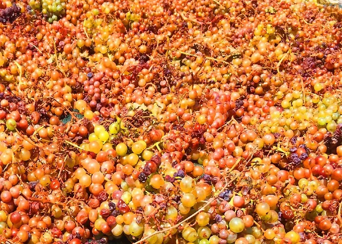 Szálloda Ariana Eco Adults Only Fíra