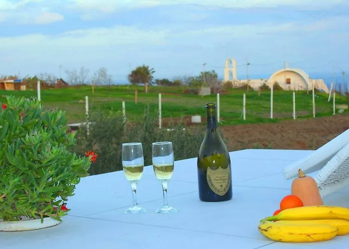 Ariana Eco Adults Only *